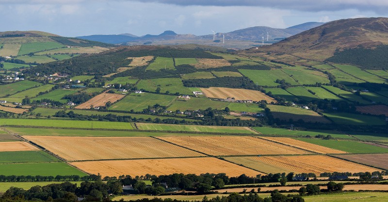 Local Government Perspectives on Rural Development in Ireland