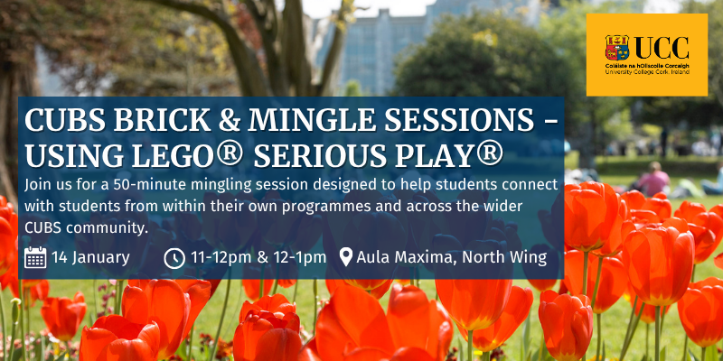 CUBS Brick & Mingle Sessions -  Using LEGO® Serious Play®