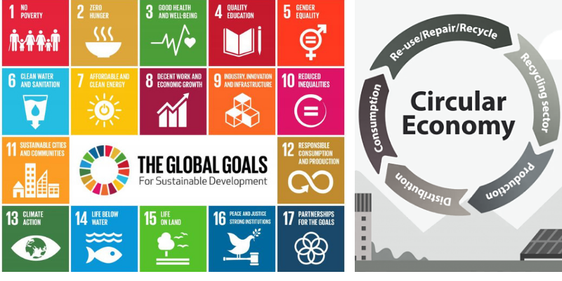 The Circular Economy and the SDGs