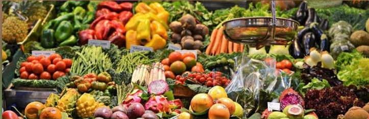 The EAT-Lancet Commission on Food, Planet, Health Launch