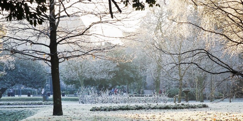 CUBS Winter Research Symposium