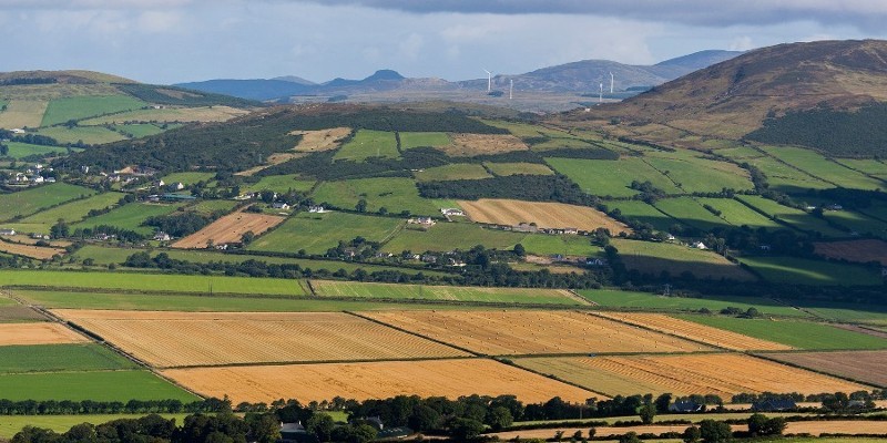 Local Government Perspectives on Rural Development in Ireland