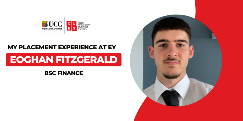 My Placement Experience – EY (Audit & Assurance) Eoghan Fitzgerald – BSc Finance, 