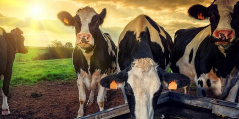 Castigating farmers won’t reduce agricultural carbon emissions