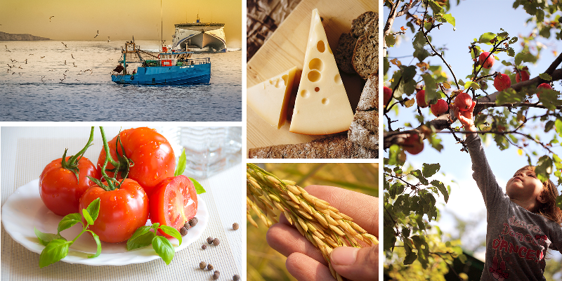 Global Food Authenticity Expert to speak in UCC on subject of Food Fraud Prevention