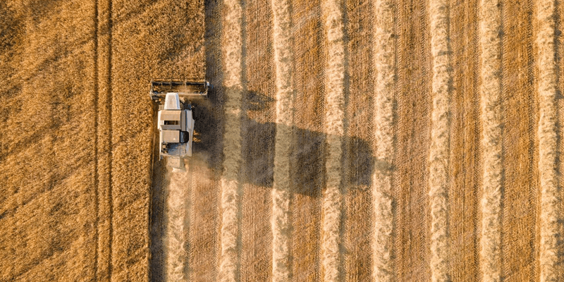 What lessons can history teach us about food security?
