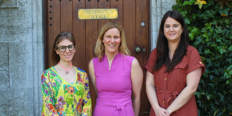 CUBS Academics Secure Over €650,000 for Innovative Wool Sustainability Project