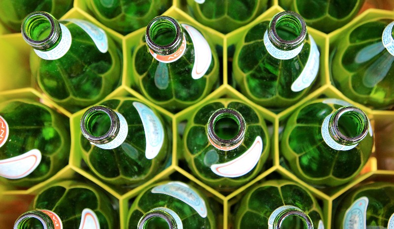 New Year’s Resolutions for a Sustainable Home - Five Simple Steps