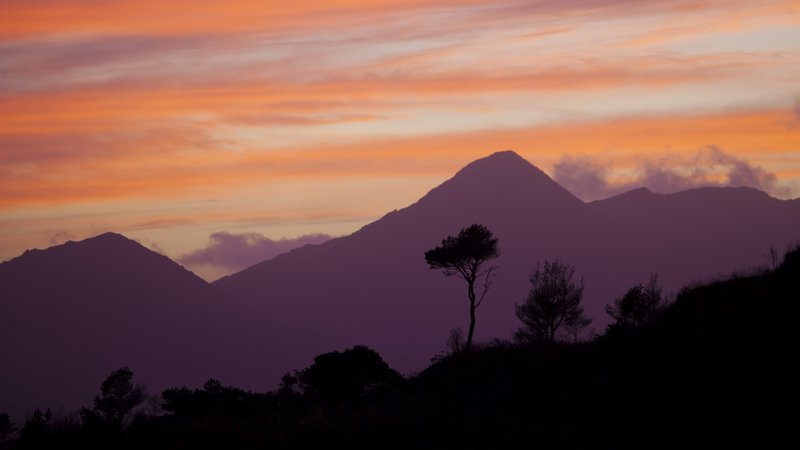 How west Cork used creativity to beat the recession