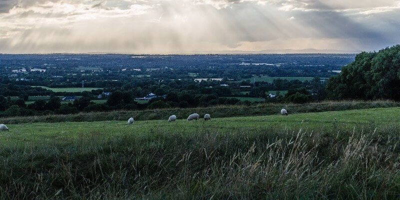 Phd Fellowship: Economic Modelling of Agricultural Land Markets
