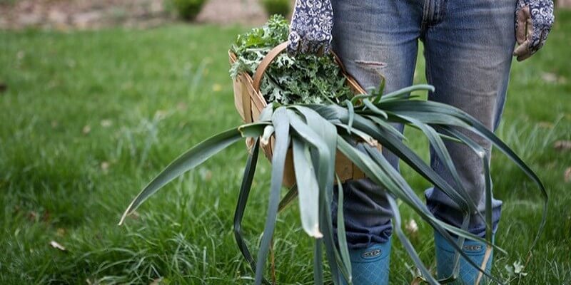 5 Reasons to study Agri-Food and Sustainable Development