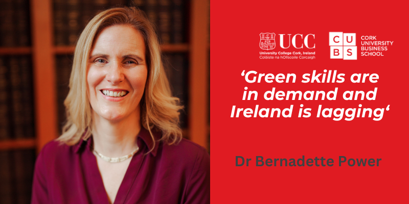 Green Skills Gap: Ireland's Challenge in Meeting Demand for Sustainable Jobs