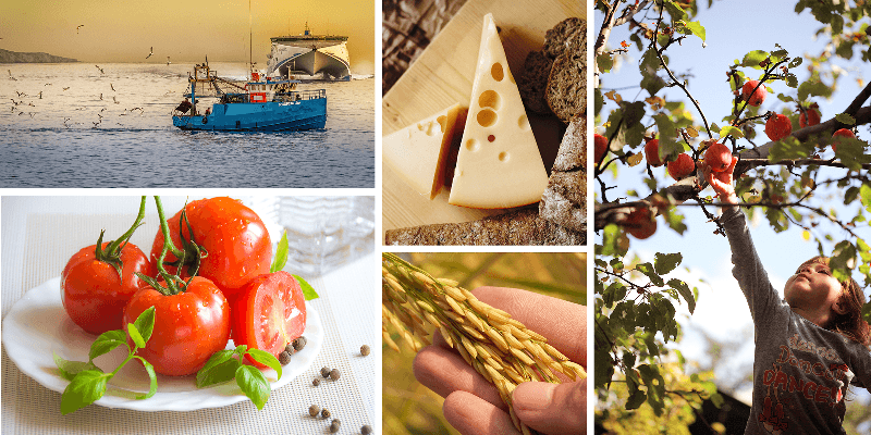 Global Food Authenticity Expert to speak in UCC on subject of Food Fraud Prevention