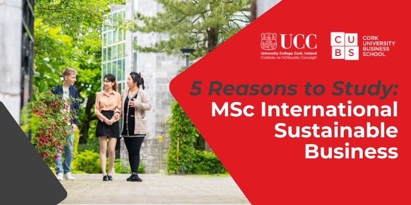 Top 5 Reasons to Study International Sustainable Business