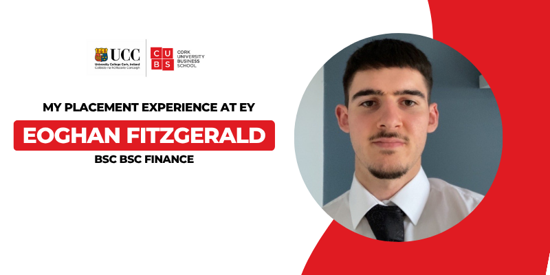 My Placement Experience – EY (Audit & Assurance) Eoghan Fitzgerald – BSc Finance, 