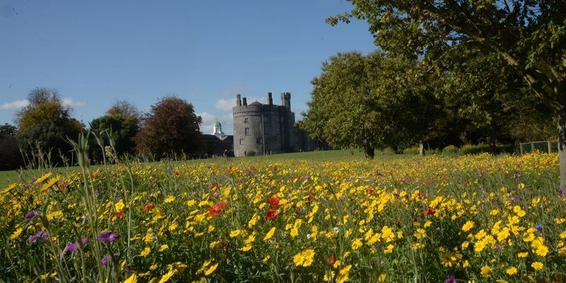 What to do with a conundrum like Kilkenny?