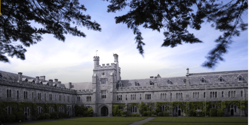 New scholarships to promote women in business