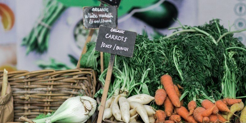 The Agri-food sector is growing, with sustainability at the fore 