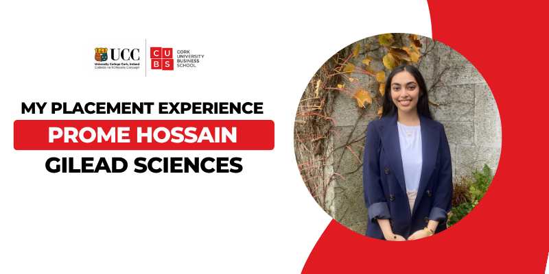 My placement experience – Prome Hossain, Commerce