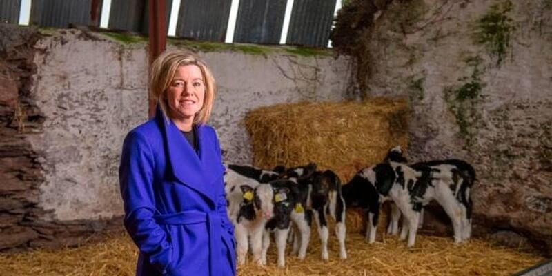 Analysis: Irish Food Policy and Brexit