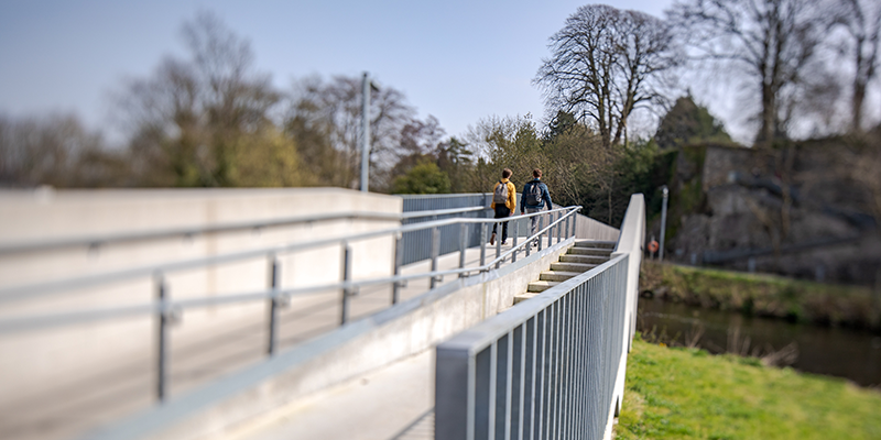 Undergraduate Resources